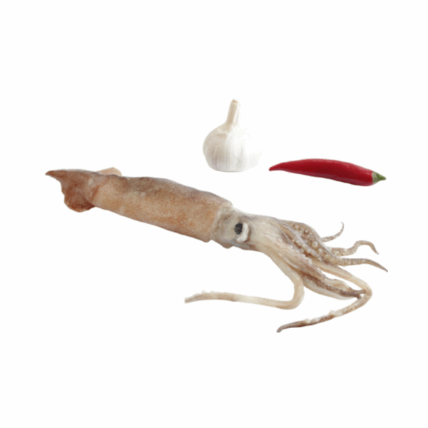 Pota Suja Inteira (900g)