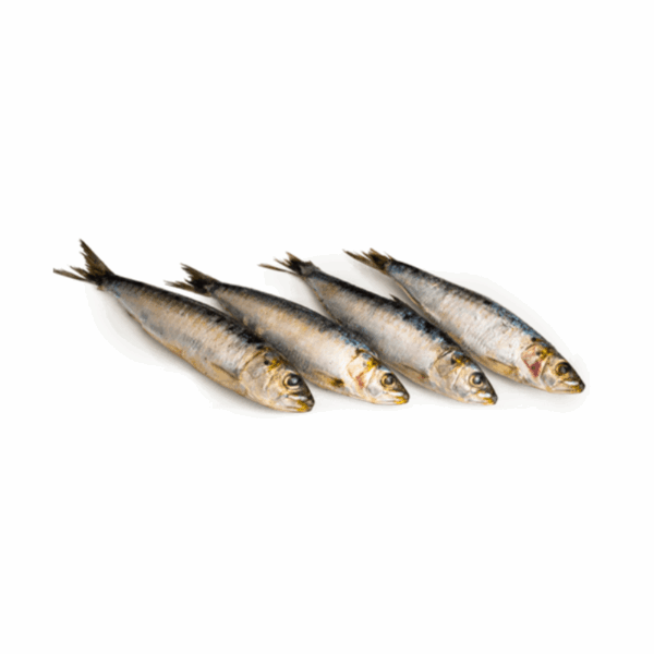 Sardinha (kg)