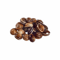 Caracol Pronto a Comer – Balde 1kg