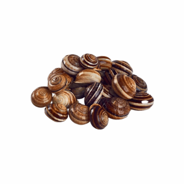 Caracol Pronto a Comer – Balde 1kg